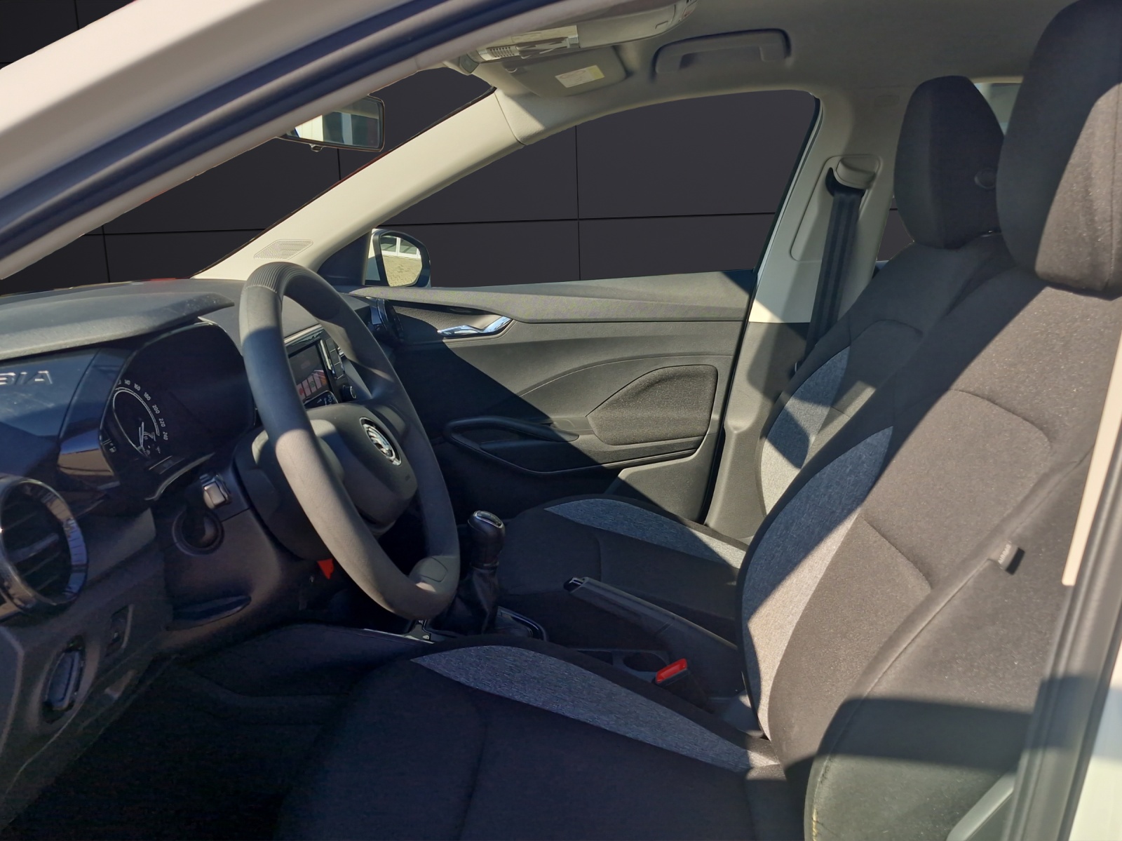 Fahrzeugabbildung SKODA Fabia Active 1.0 LED SHZ