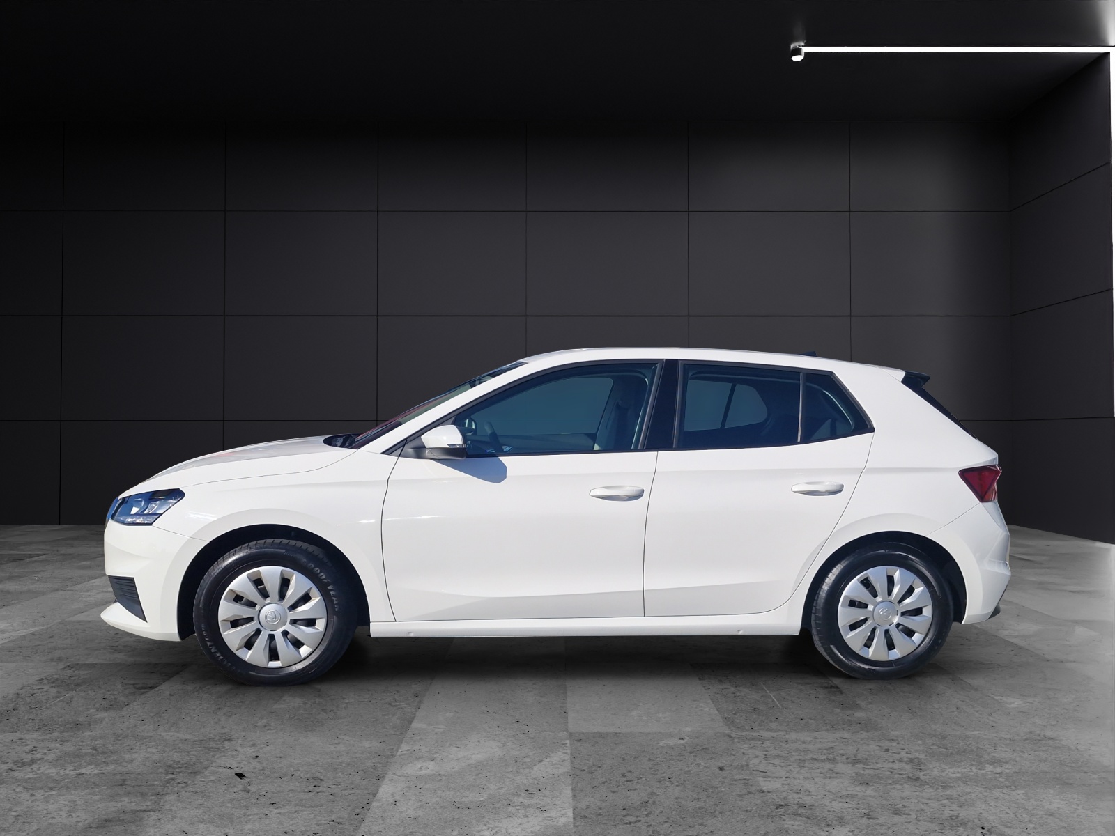 Fahrzeugabbildung SKODA Fabia Active 1.0 LED SHZ