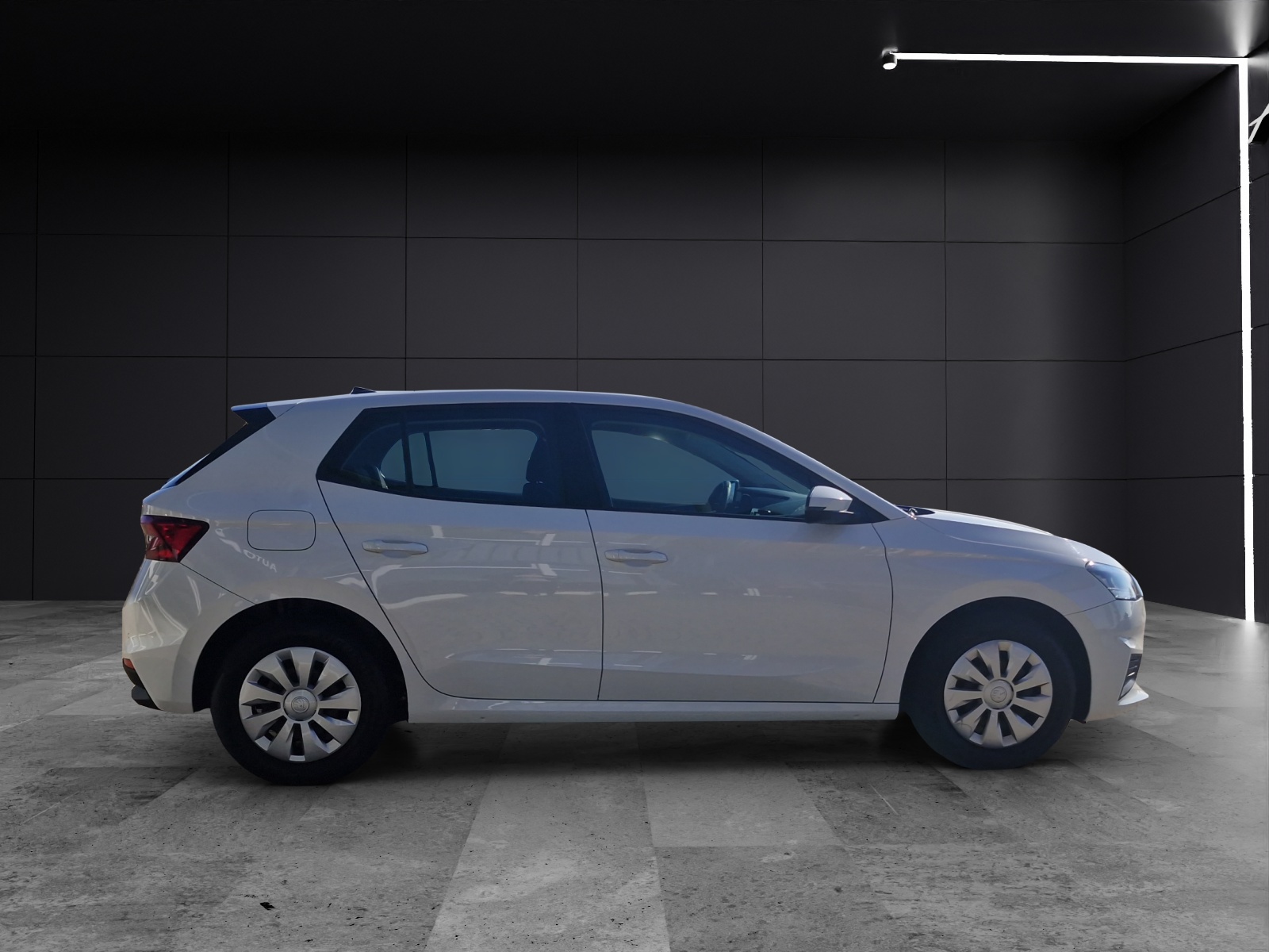 Fahrzeugabbildung SKODA Fabia Active 1.0 LED SHZ