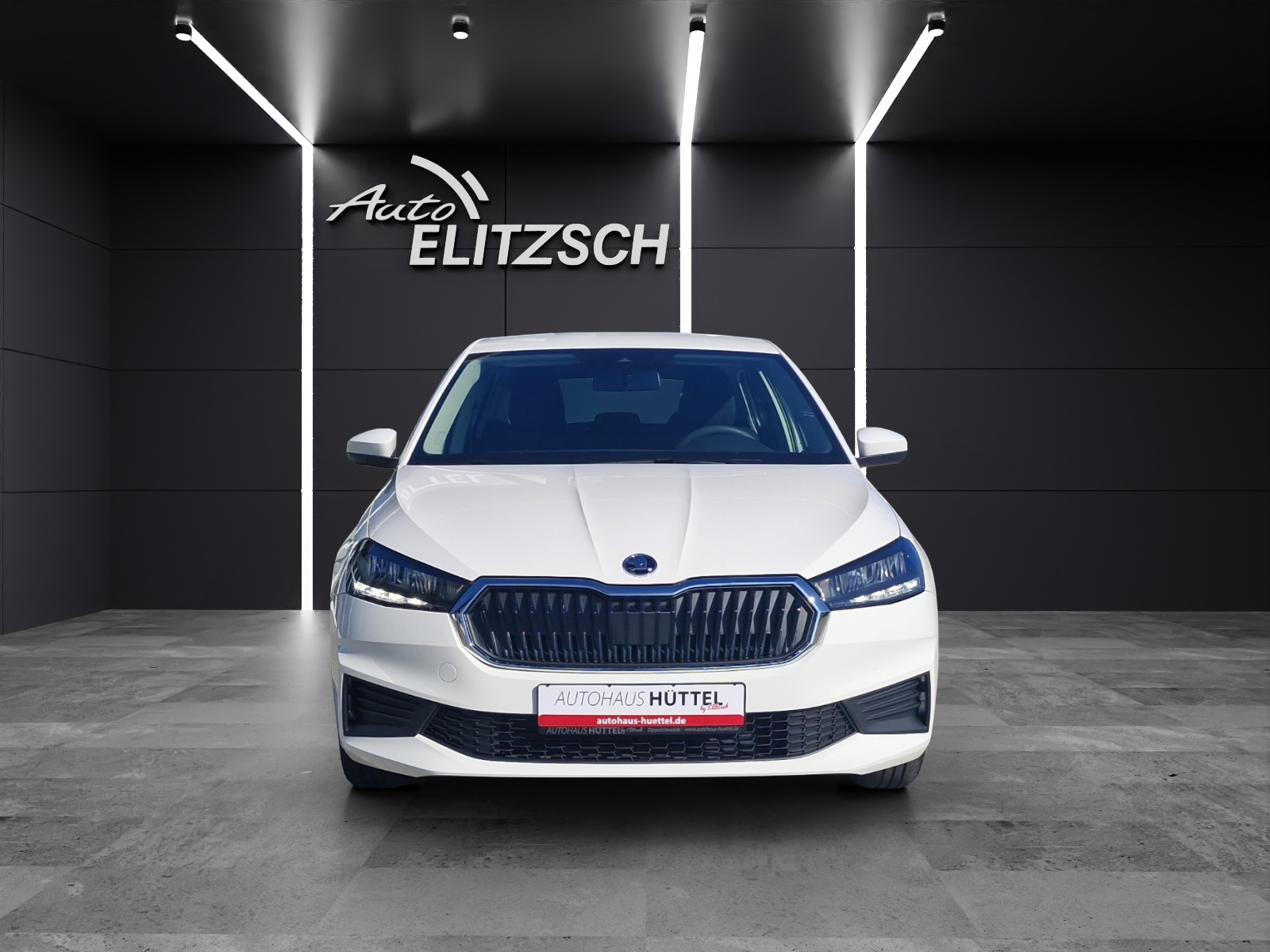 Fahrzeugabbildung SKODA Fabia Active 1.0 LED SHZ