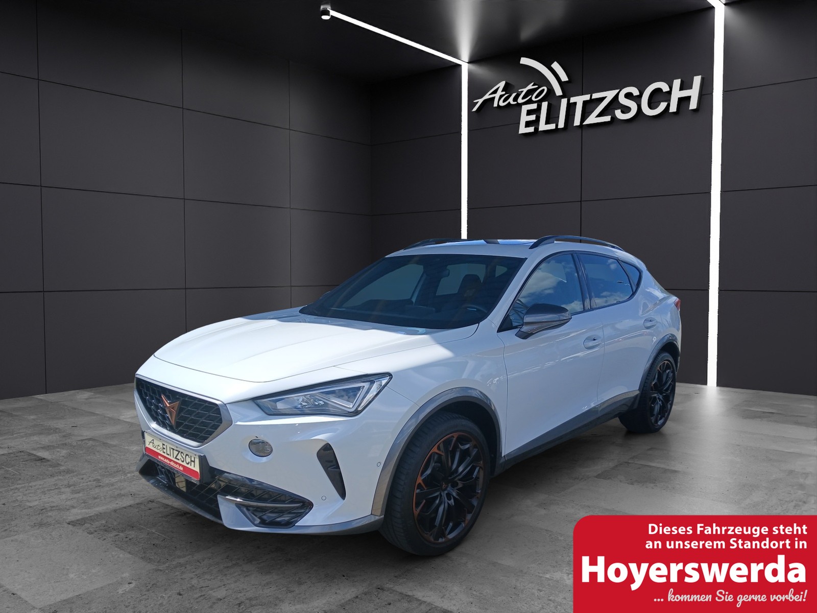 CUPRA Formentor VZ DSG 4Drive LED AHK Navi Pano ACC RFK SH 19
