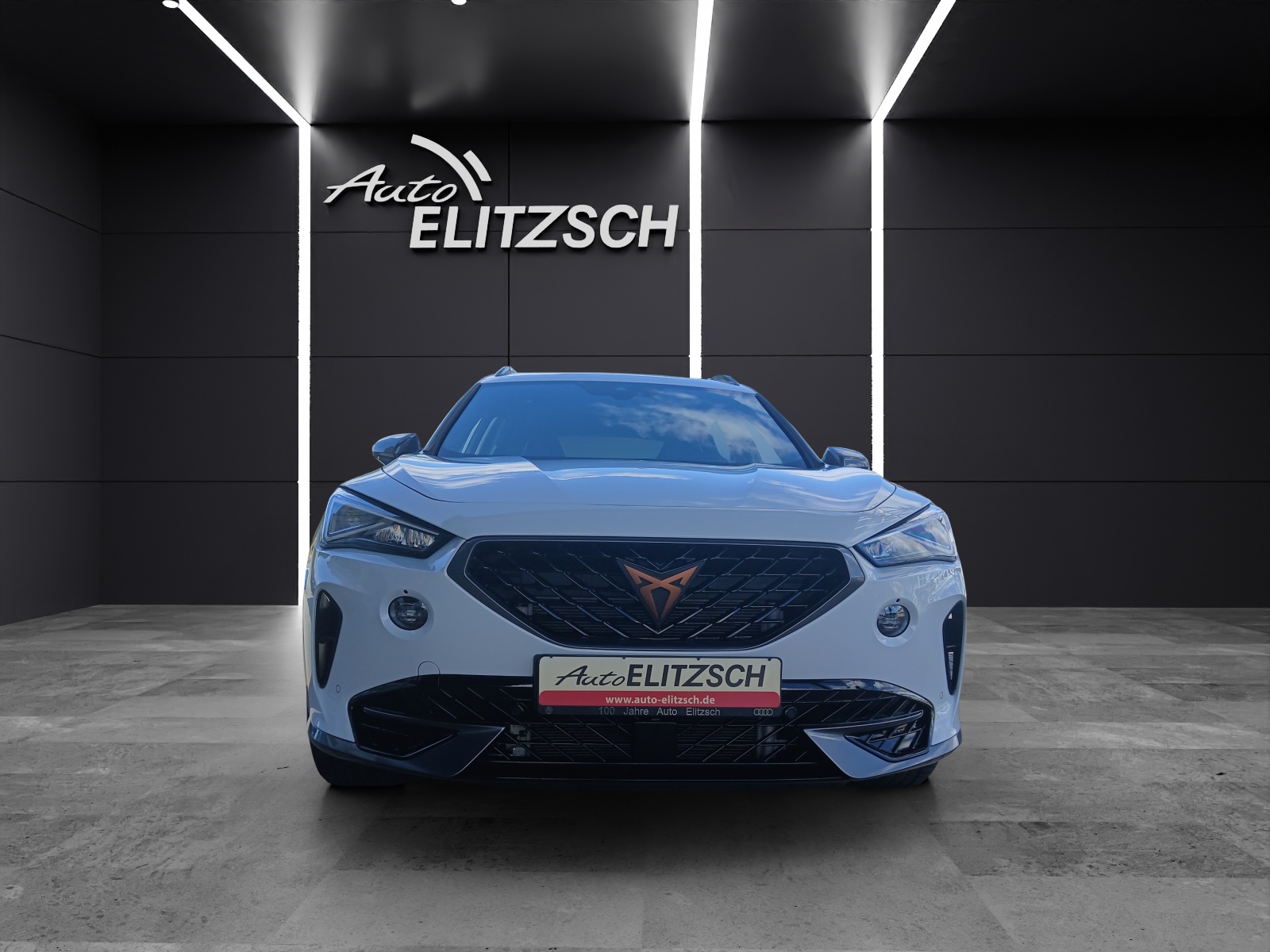 Fahrzeugabbildung CUPRA Formentor VZ DSG 4Drive LED AHK Navi Pano ACC RFK SH 19