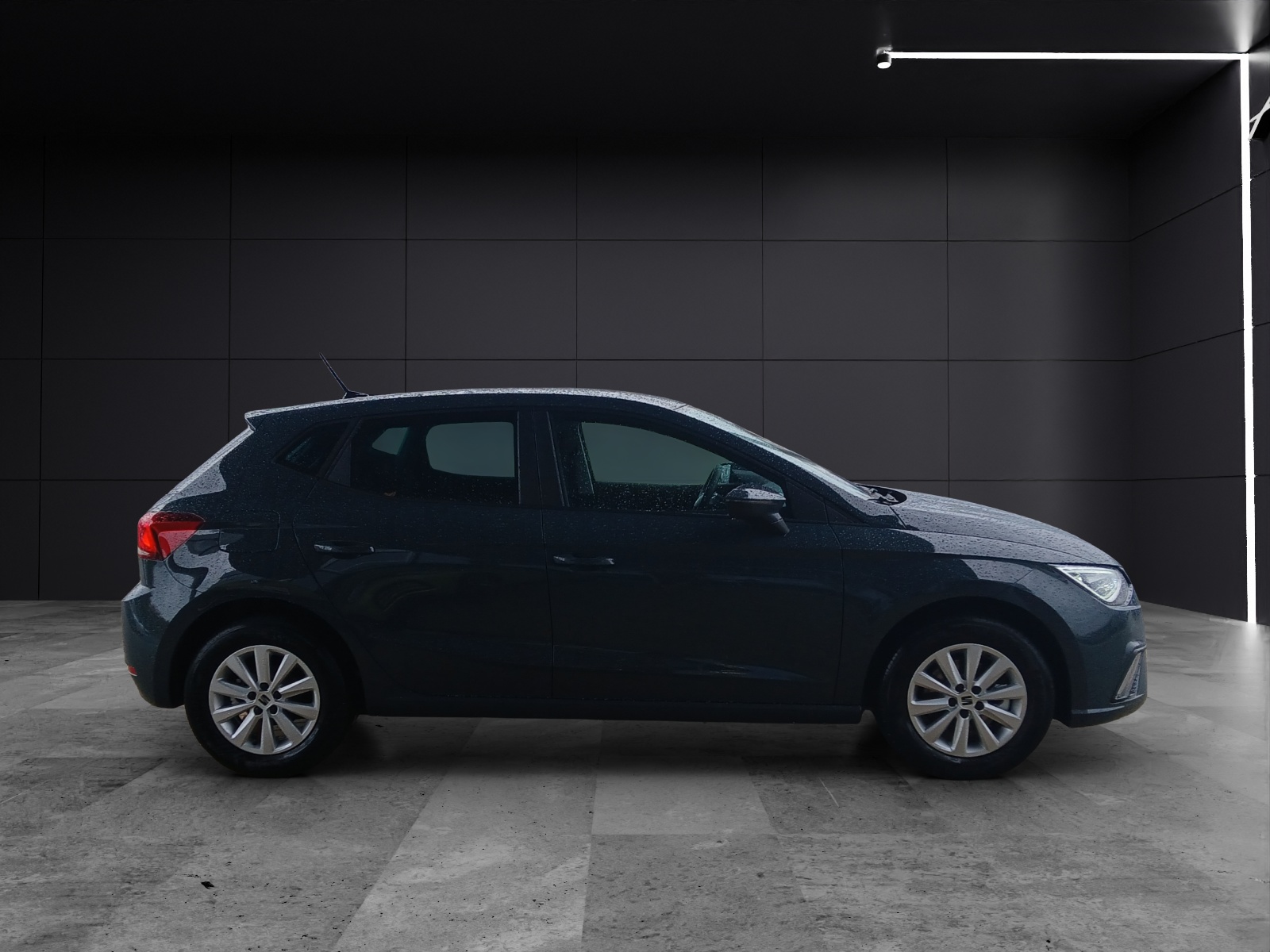 Fahrzeugabbildung SEAT Ibiza 1.0 TSI Road Edition Kamera
