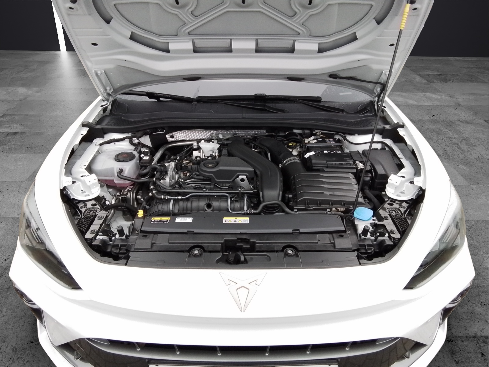 Fahrzeugabbildung CUPRA Leon eTSI DSG LED AHK Navi AID ACC RFK SH 19