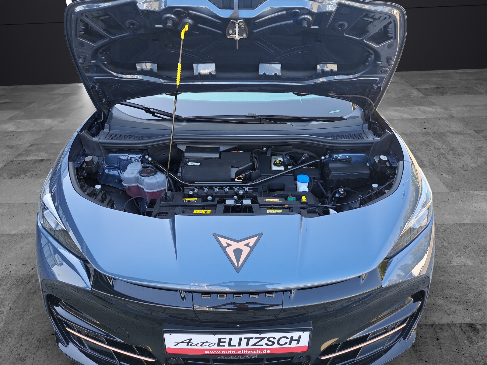 Fahrzeugabbildung CUPRA Tavascan VZ 4Drive BelowZero Adren.P.