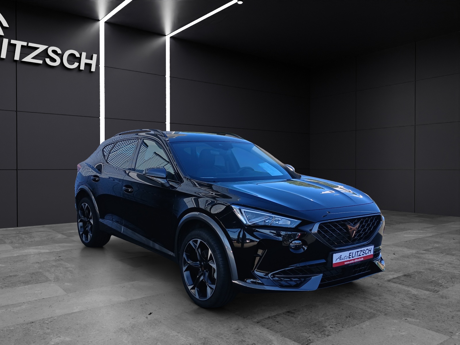 Fahrzeugabbildung CUPRA Formentor TSI DSG LED ACC RFK SH 19