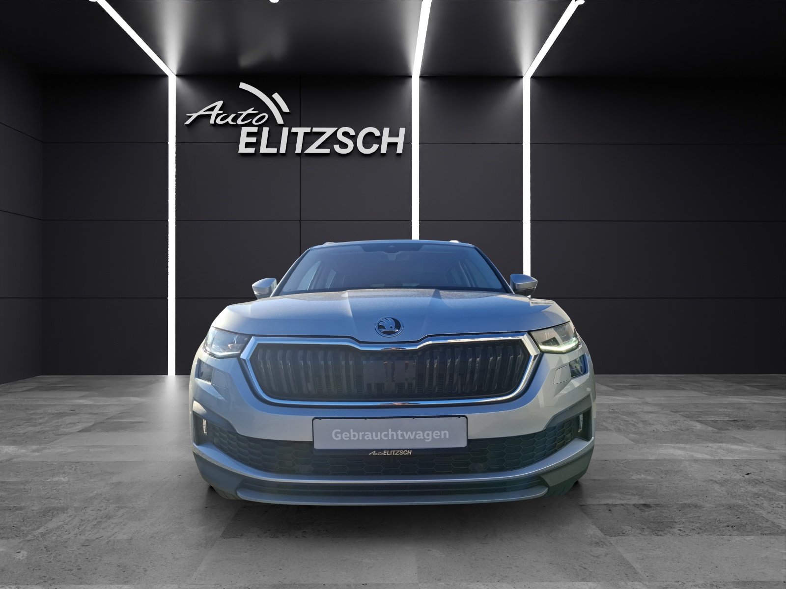 Fahrzeugabbildung SKODA Kodiaq TSI Clever DSG Matrix AHK Navi ACC RFK SH 18