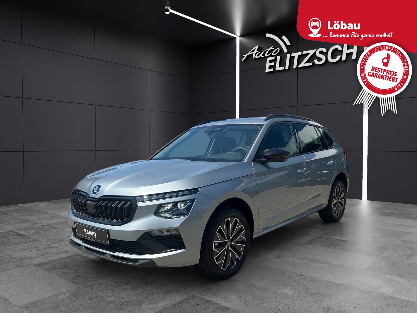 Fahrzeugabbildung SKODA Kamiq 1.0 TSI Selection MATRIX AHK