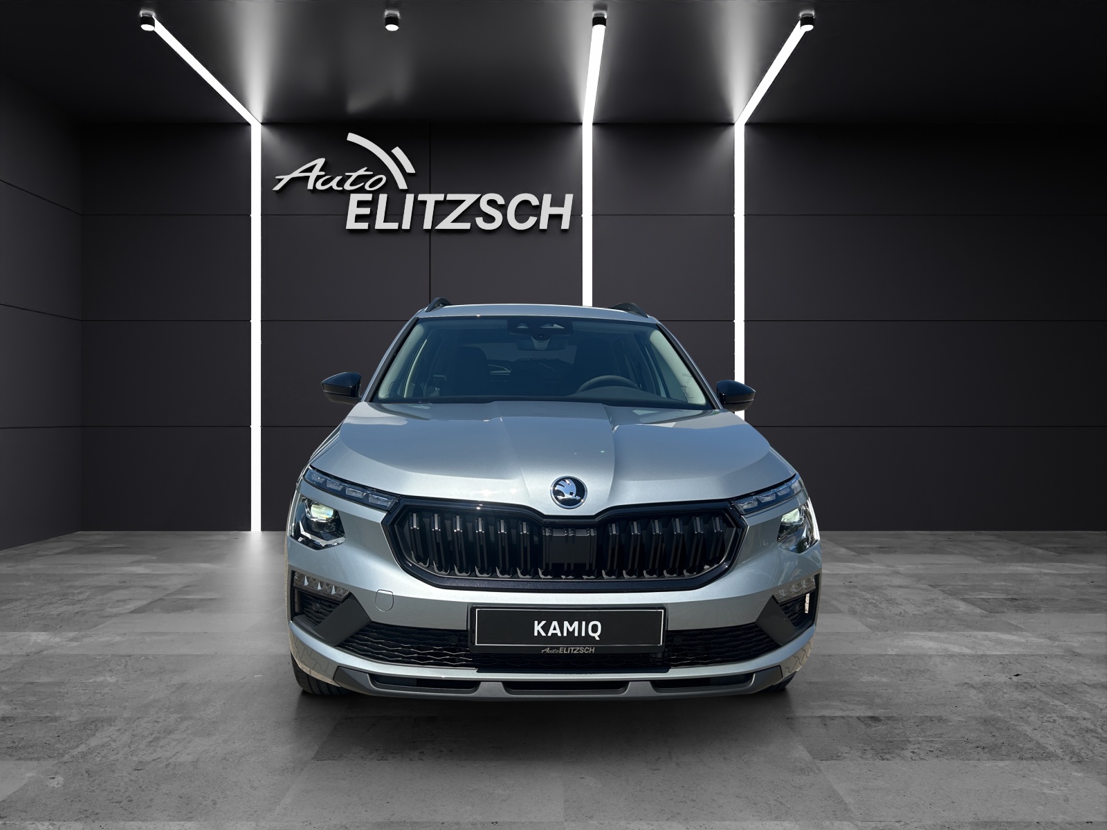Fahrzeugabbildung SKODA Kamiq 1.0 TSI Selection MATRIX AHK