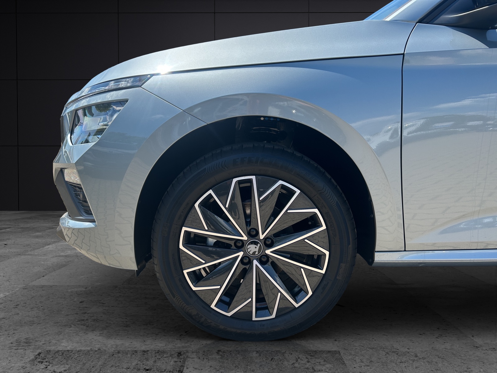 Fahrzeugabbildung SKODA Kamiq 1.0 TSI Selection MATRIX AHK