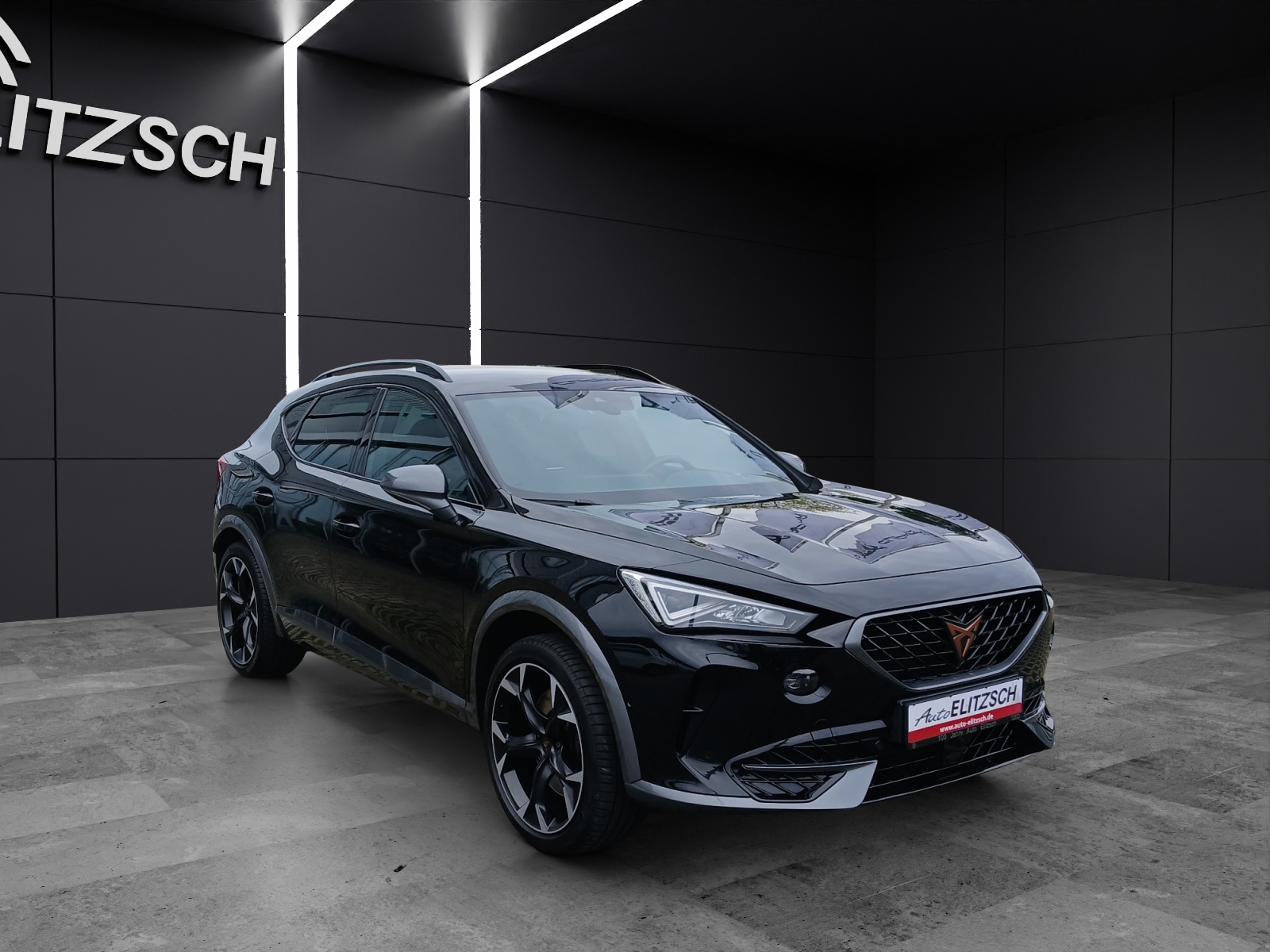 Fahrzeugabbildung CUPRA Formentor VZ DSG LED Navi ACC 19