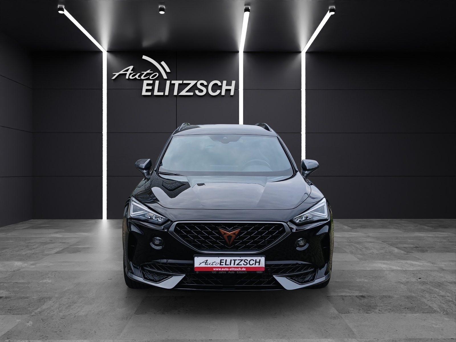 Fahrzeugabbildung CUPRA Formentor VZ DSG LED Navi ACC 19