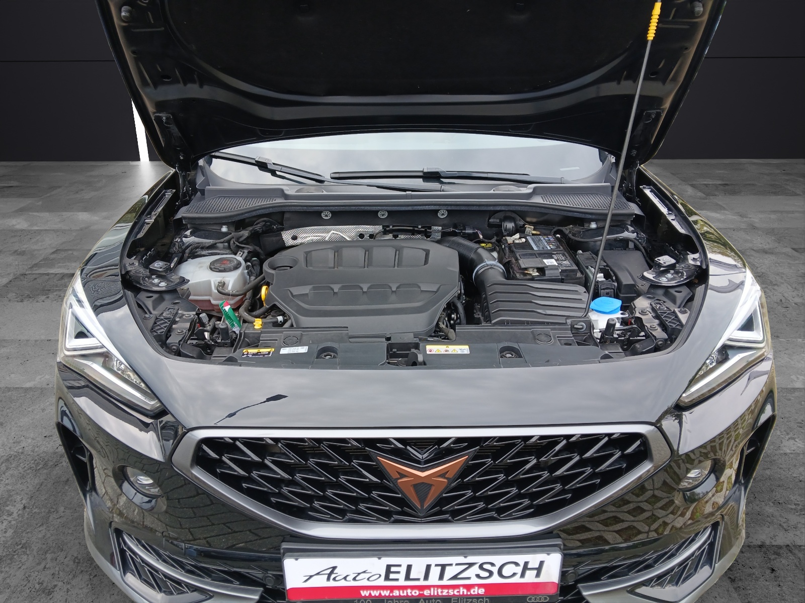 Fahrzeugabbildung CUPRA Formentor VZ DSG LED Navi ACC 19