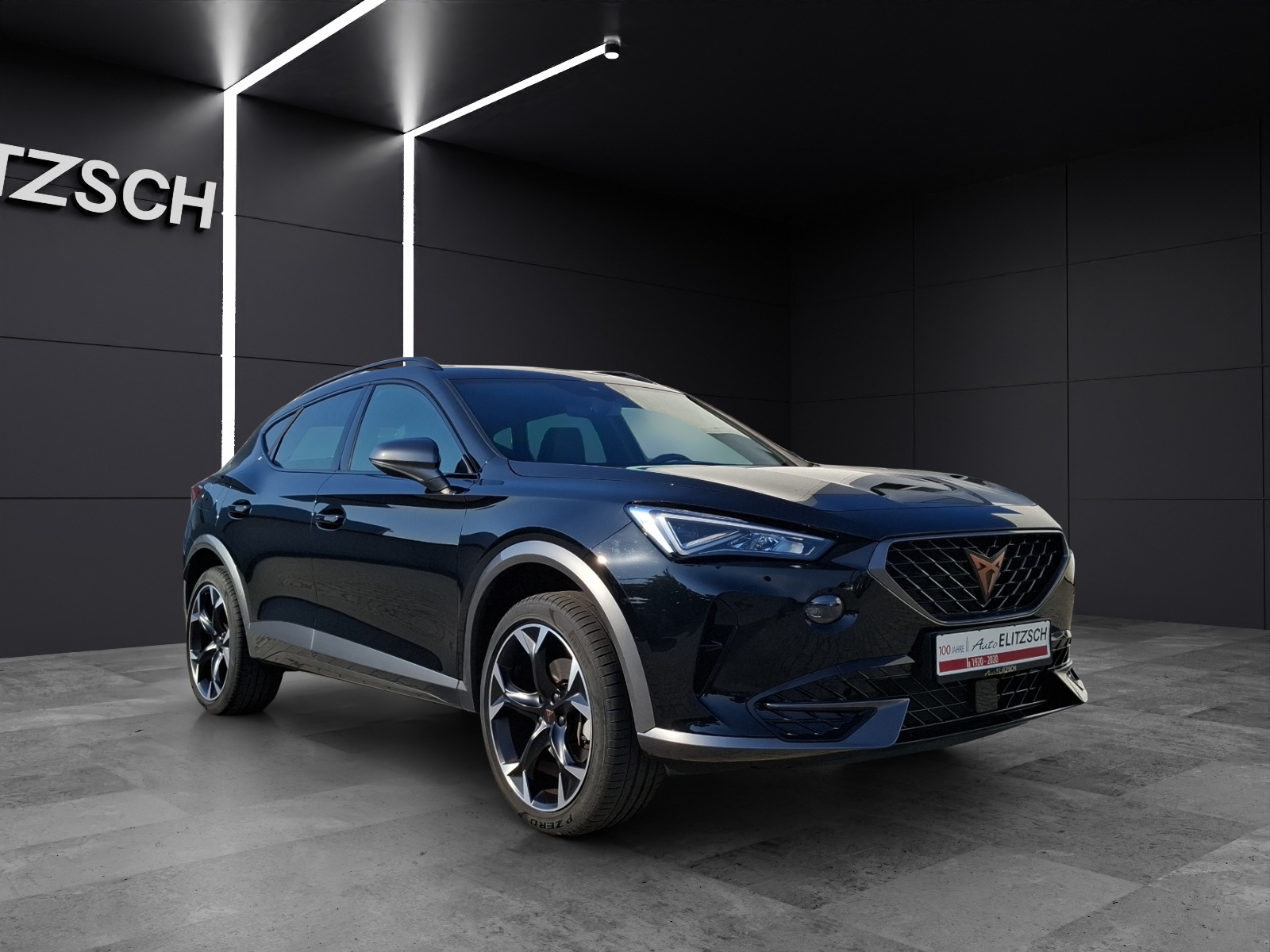 Fahrzeugabbildung CUPRA Formentor TSI DSG LED ACC RFK SH 19