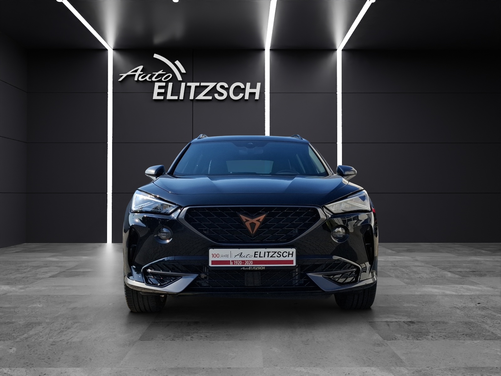 Fahrzeugabbildung CUPRA Formentor TSI DSG LED ACC RFK SH 19