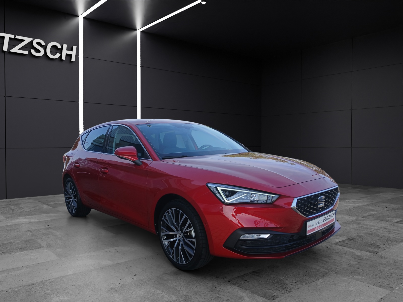 Fahrzeugabbildung SEAT Leon eTSI Xcellence DSG LED GRA RFK SH 18