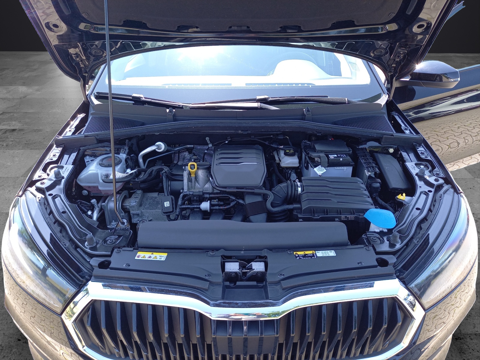 Fahrzeugabbildung SKODA Fabia 1.0 Ambition LED Klima DAB GRA PDC fertig