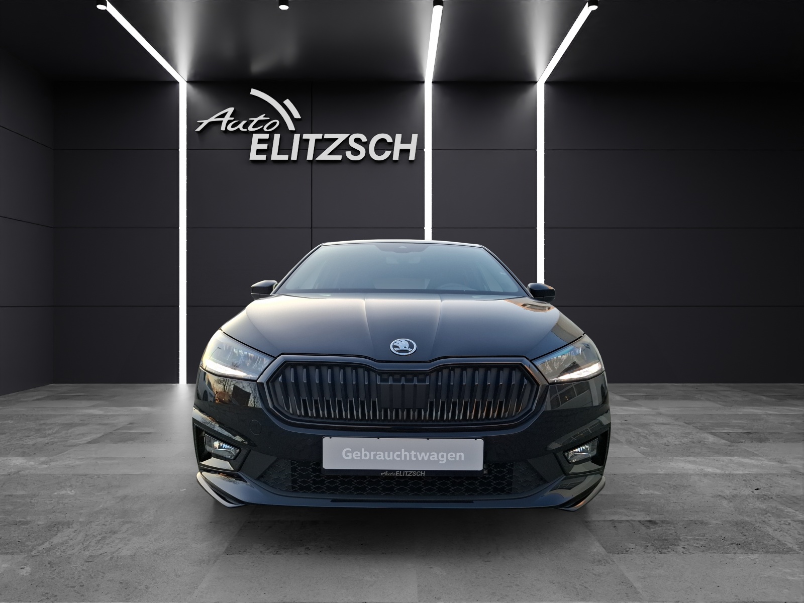 Fahrzeugabbildung SKODA Fabia 1.0 Monte-Carlo LED Climatronic AID PDC SH LM