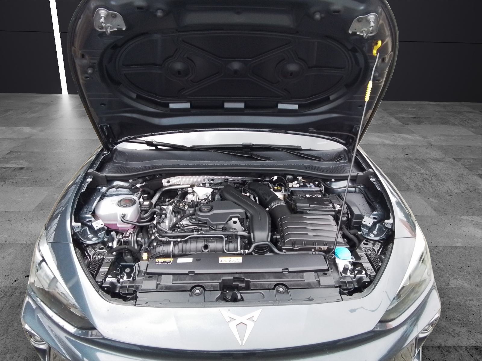 Fahrzeugabbildung CUPRA Leon Sportstourer 1.5 eTSI DSG PANO ACC LED KAMERA