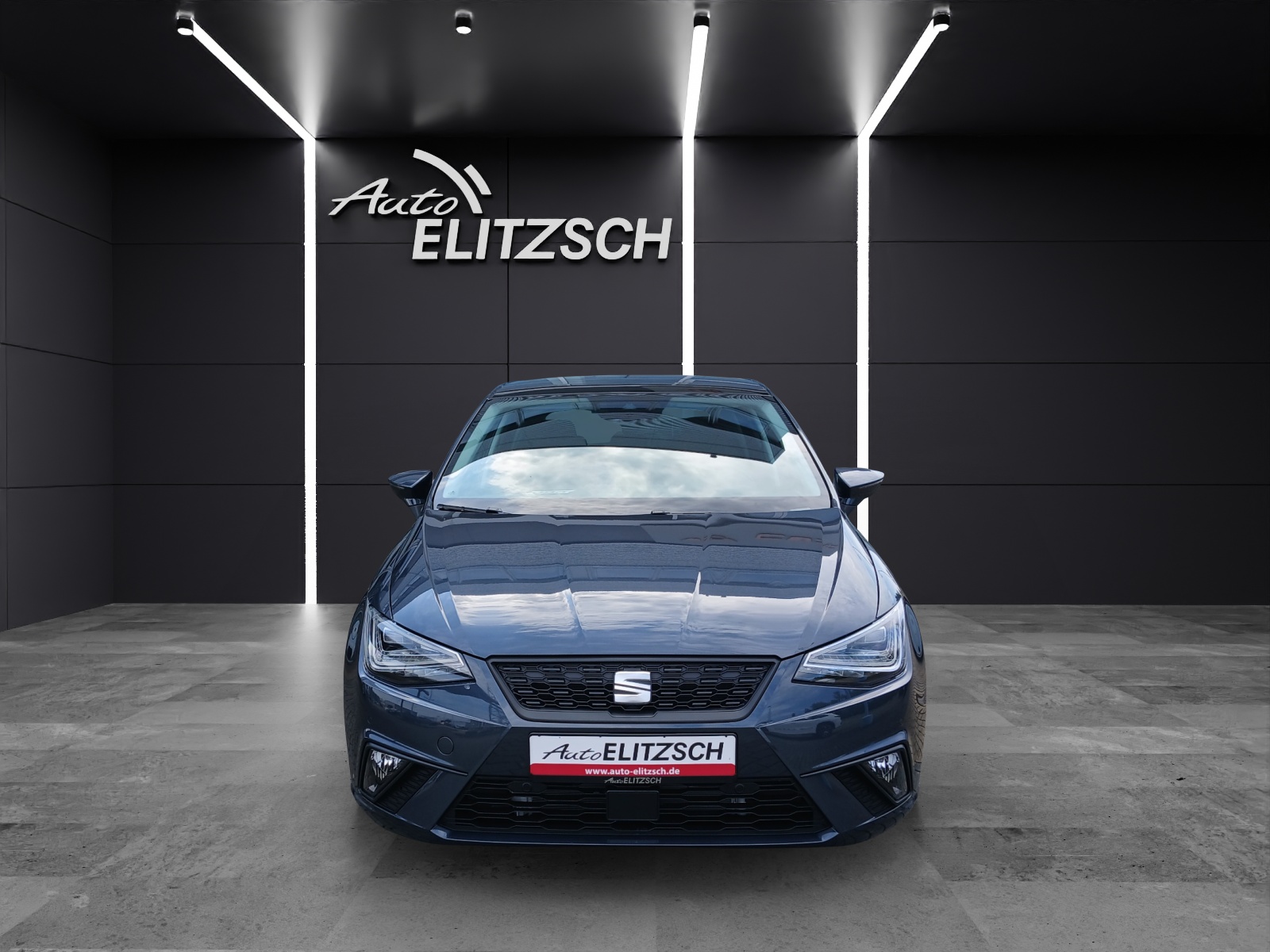 Fahrzeugabbildung SEAT Ibiza 1.0 TSI Style Edition DSG Pano LED