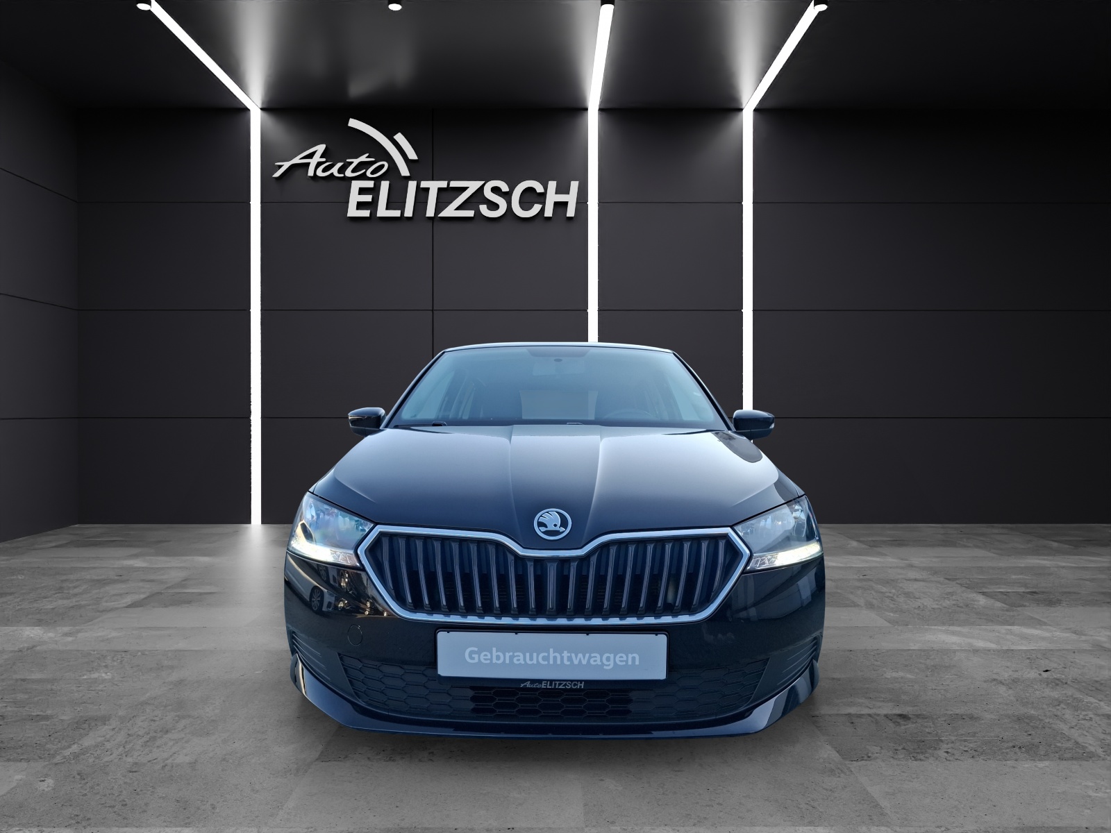 Fahrzeugabbildung SKODA Fabia TSI Cool-Plus Klima SH