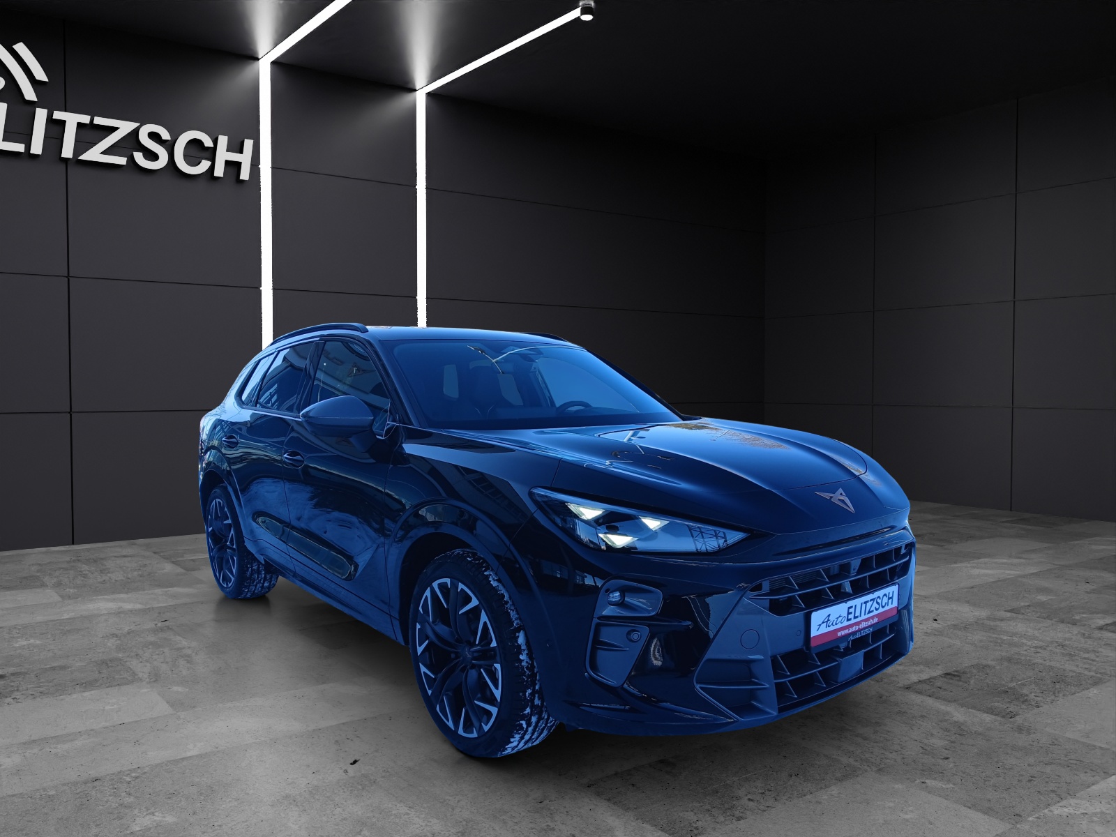 Fahrzeugabbildung CUPRA Terramar 1.5 e-HYBRID TopView ACC 20