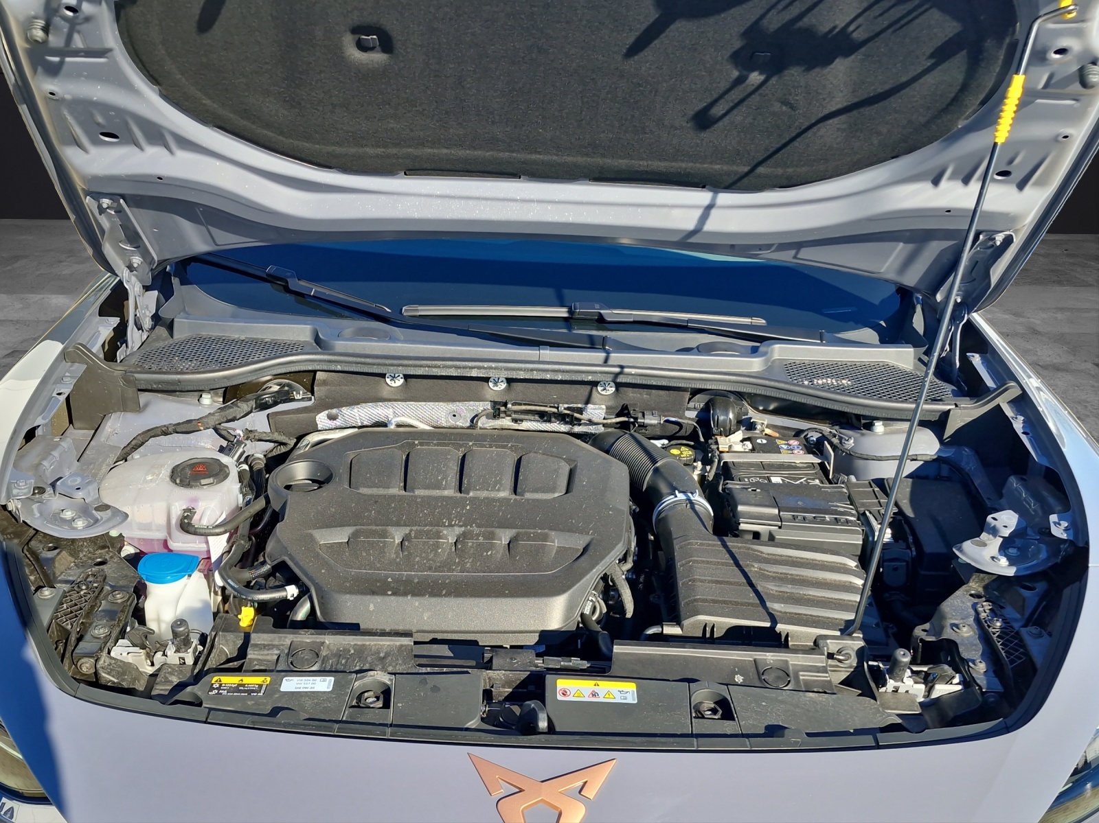 Fahrzeugabbildung CUPRA Formentor VZ 2.0 TSI 245 kW 4Drive Extreme DSG AKRAPOVIC AHK ACC KAMERA