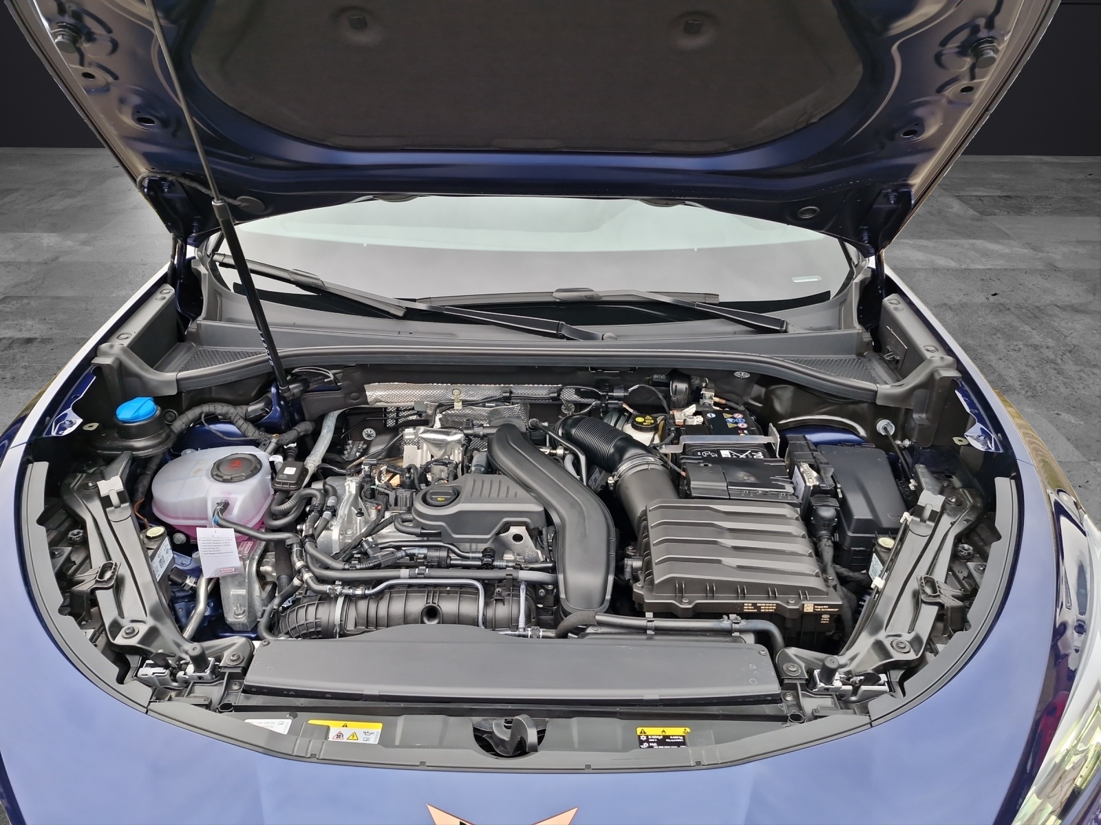 Fahrzeugabbildung CUPRA Terramar 1.5 eTSI DSG ACC NAVI KAMERA