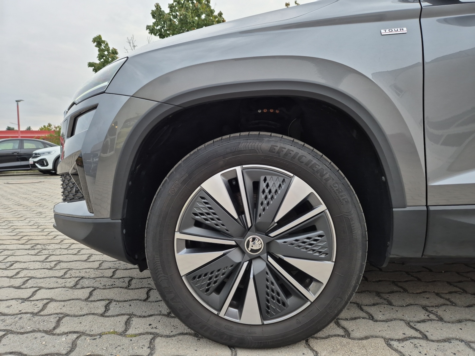 Fahrzeugabbildung SKODA Karoq TSI Tour DSG LED Navi ACC RFK SH