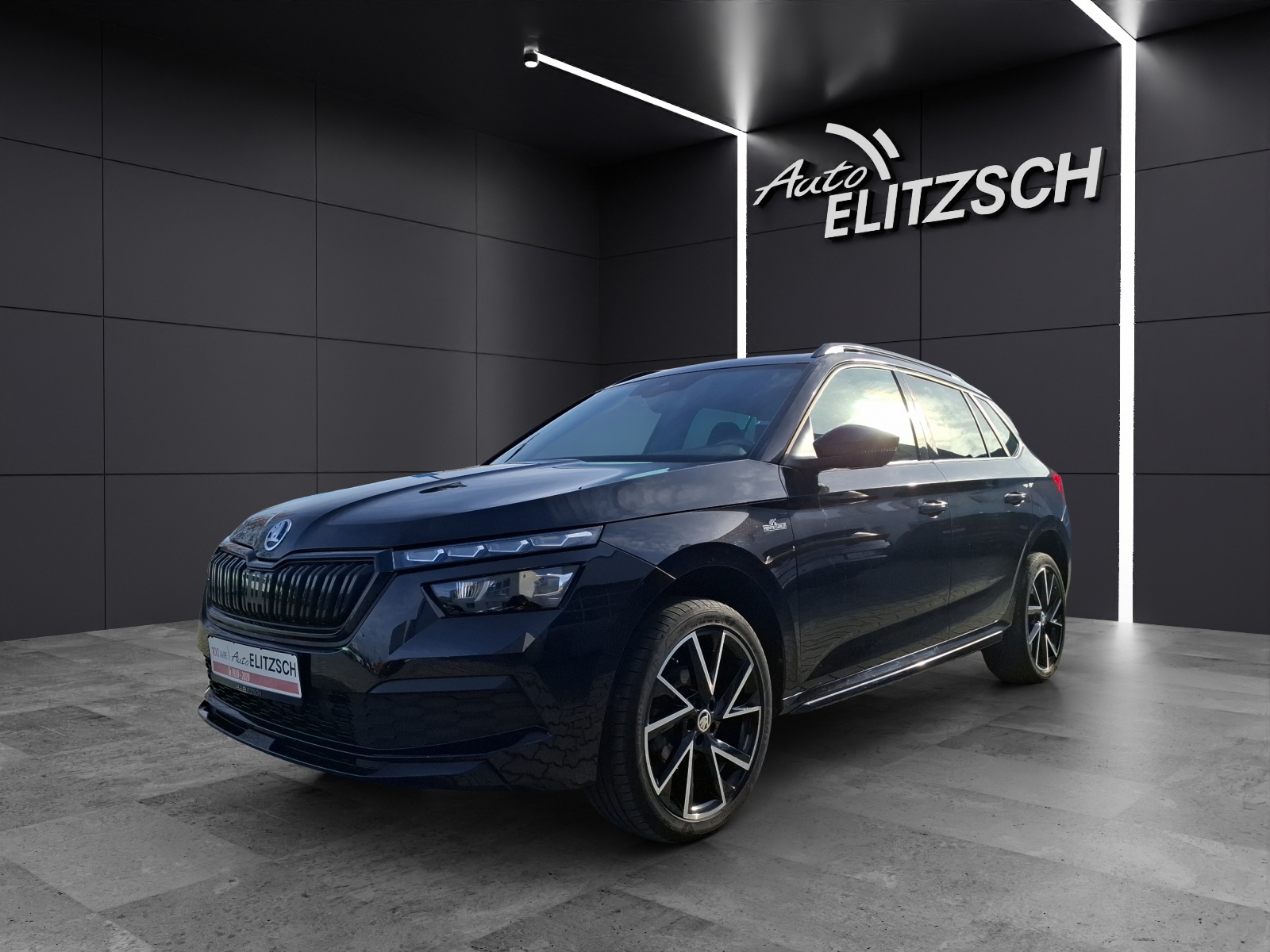 Fahrzeugabbildung SKODA Kamiq TSI Monte-Carlo LED Navi AID Pano ACC PDC SH 18