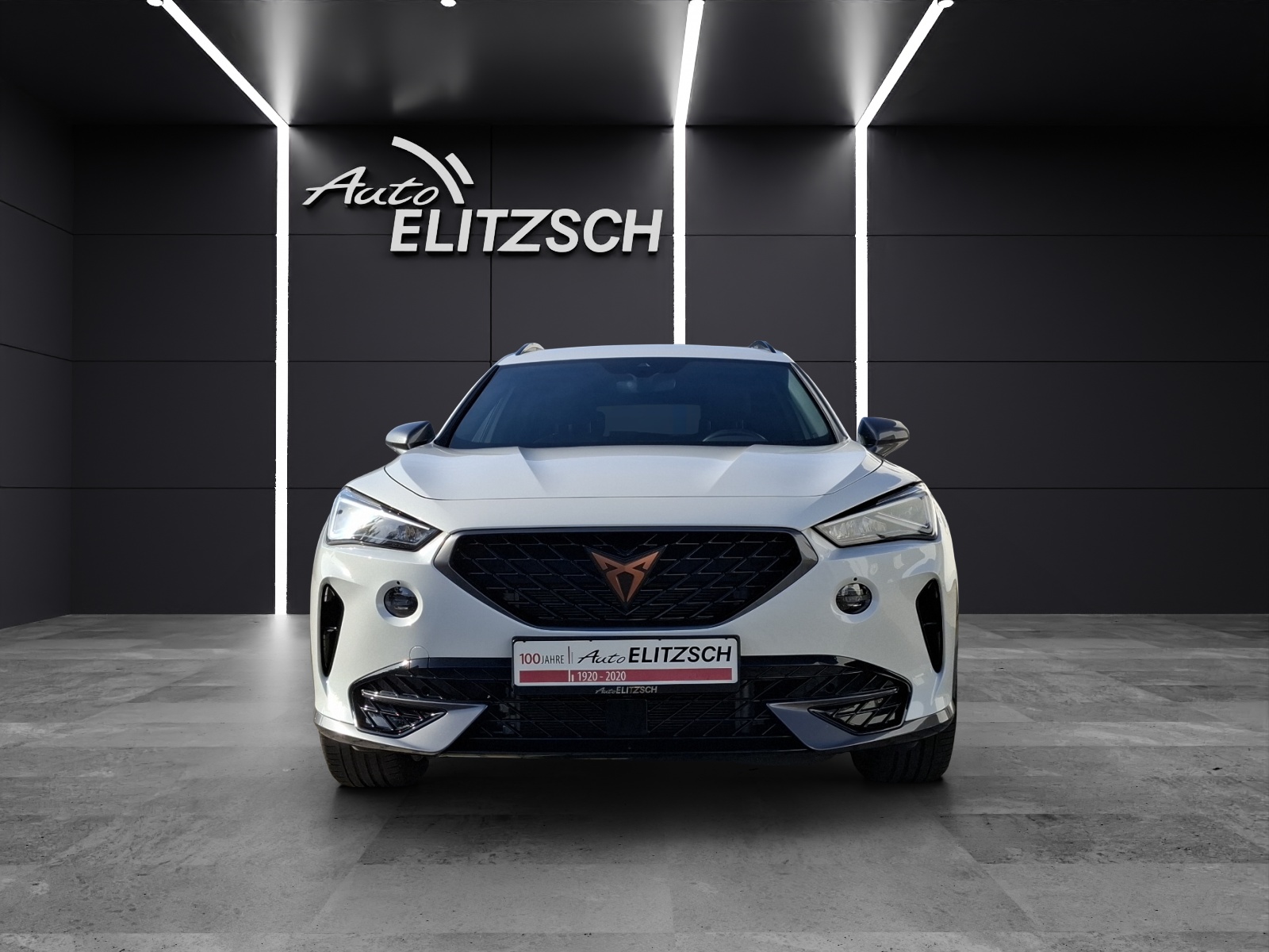 Fahrzeugabbildung CUPRA Formentor TSI DSG LED ACC RFK SH 19