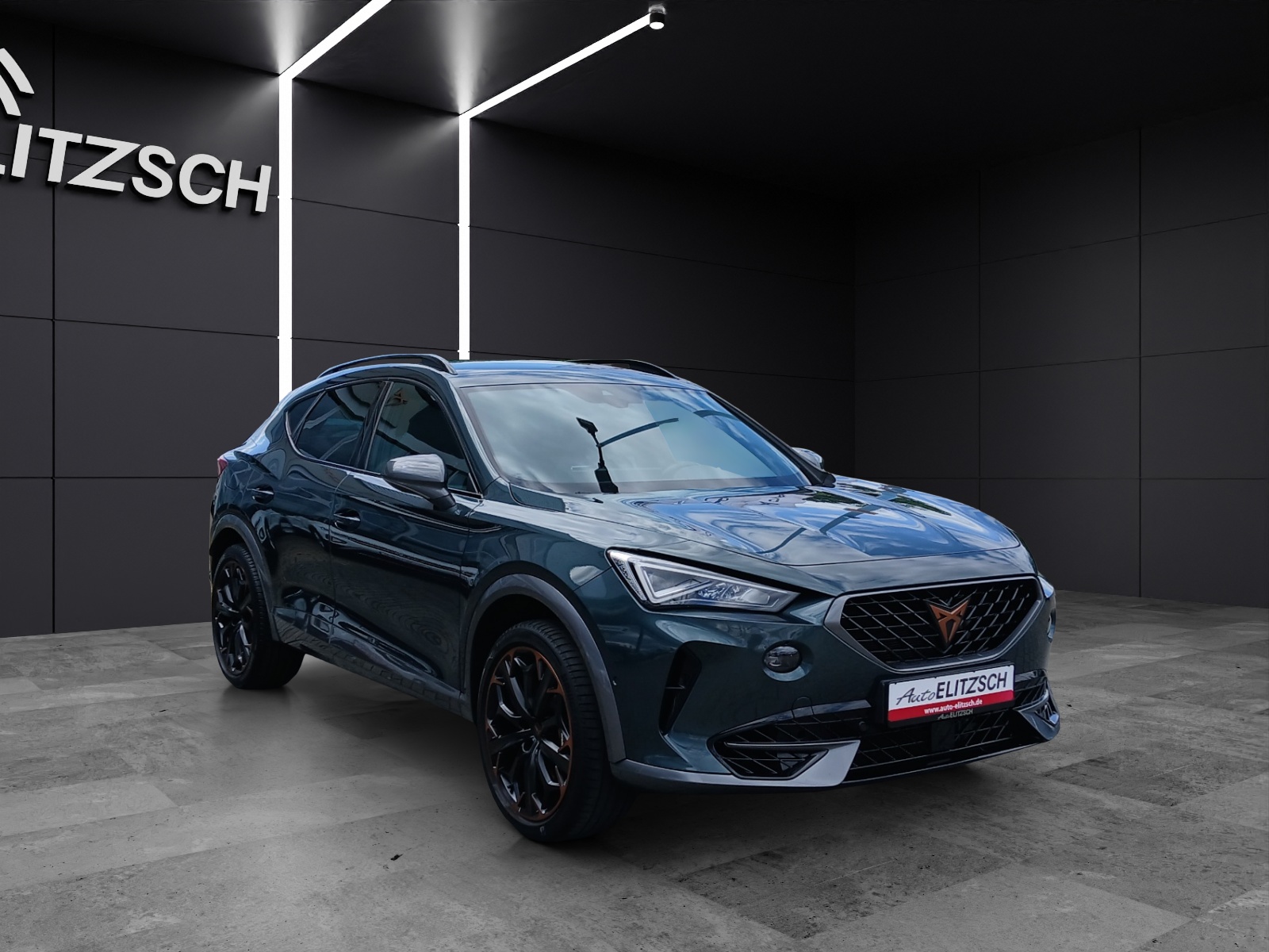 Fahrzeugabbildung CUPRA Formentor VZ DSG 4Drive LED AHK Navi ACC RFK SH Brembo 19