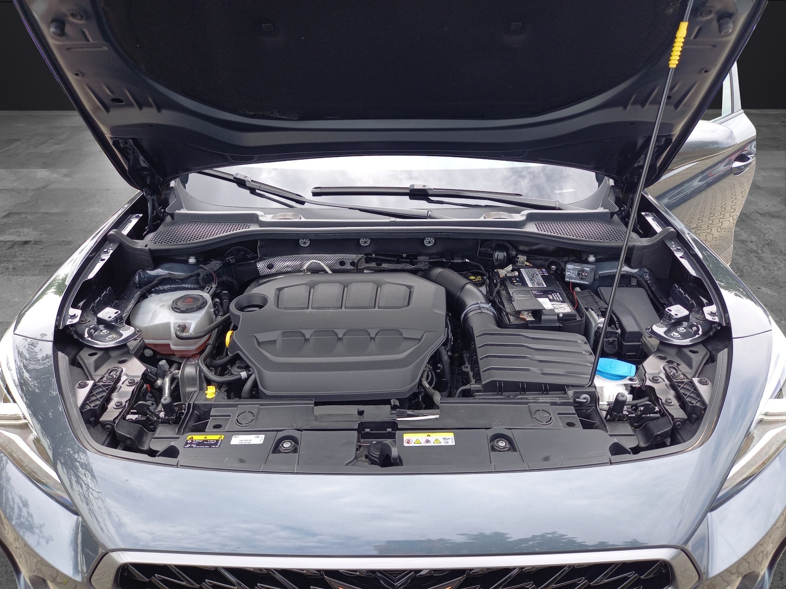 Fahrzeugabbildung CUPRA Formentor VZ 2.0 TSI 4Drive DSG KLIMA LED NAVI